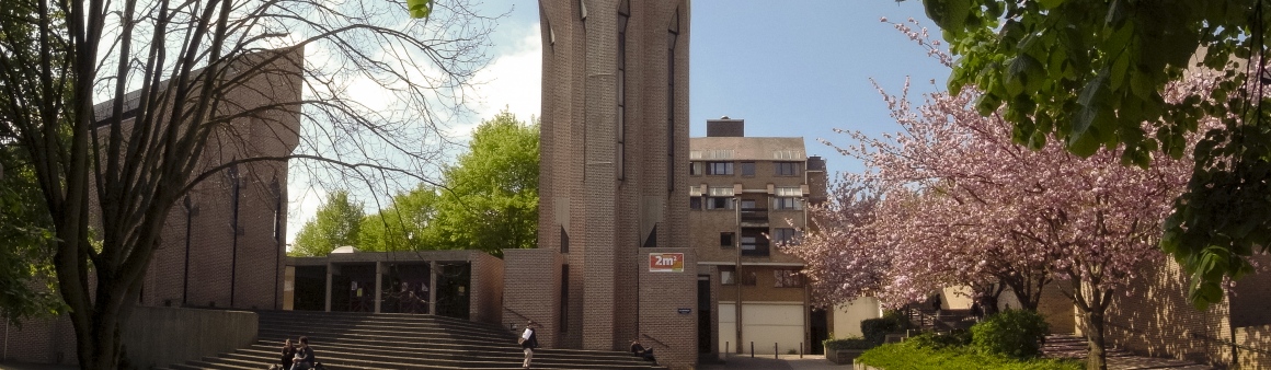 The Saint Francis of Assisi Church