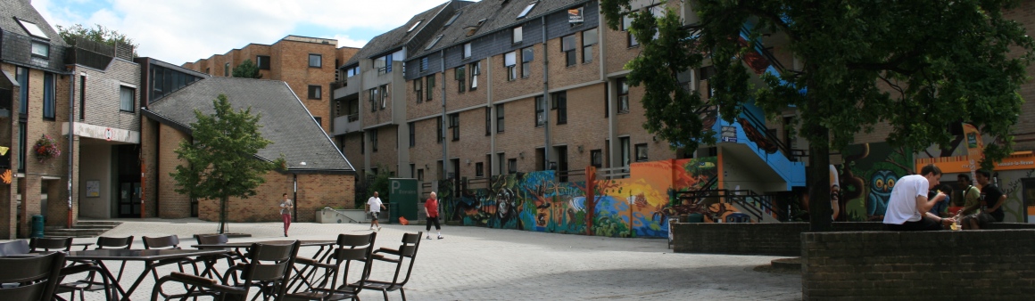 Place des Wallons