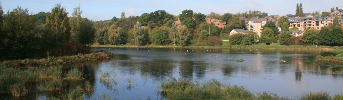 Lac de Louvain-la-Neuve