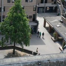 Place des Wallons photo 2