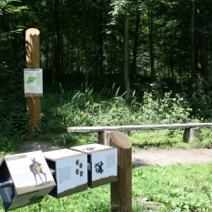 Bois de Lauzelle photo 1