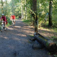Bois de Lauzelle photo 6