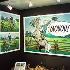 Le Complexe sportif de Blocry photo 5