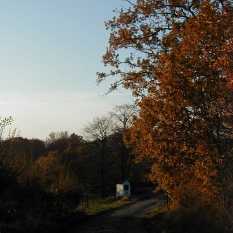 Bois de Lauzelle photo 4