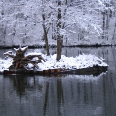Bois de Lauzelle photo 5