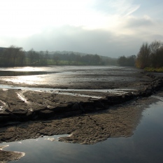 Lac de Louvain-la-Neuve photo 5