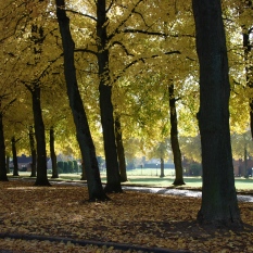 Place communale de Croux photo 6
