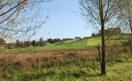 Balade nature dans la Vall�e du Pinchart